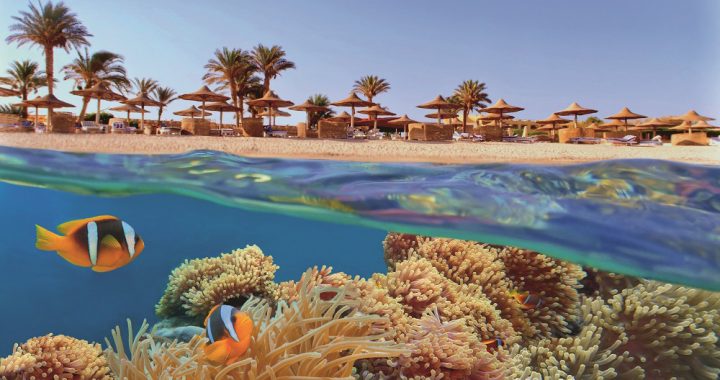 Idylic beach with palms and sun umbrelas, Red Sea, Egypt